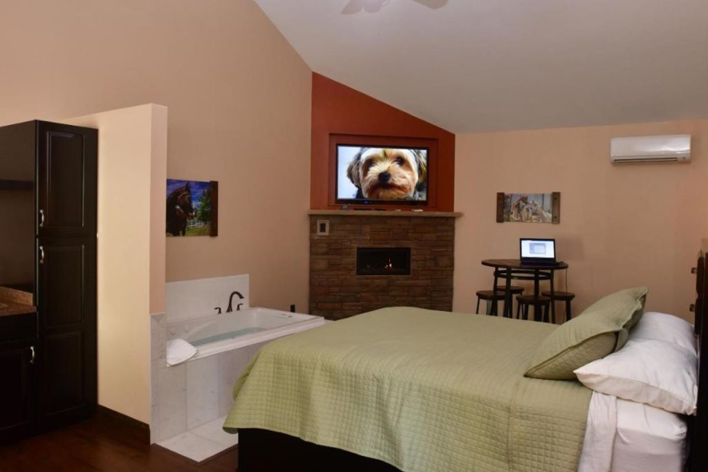 A room at the Fields of Eden Inn features a flatscreen TV and a whirlpool tub, making it one of the best hotels near the Highmark Stadium in Orchard Park, NY.
