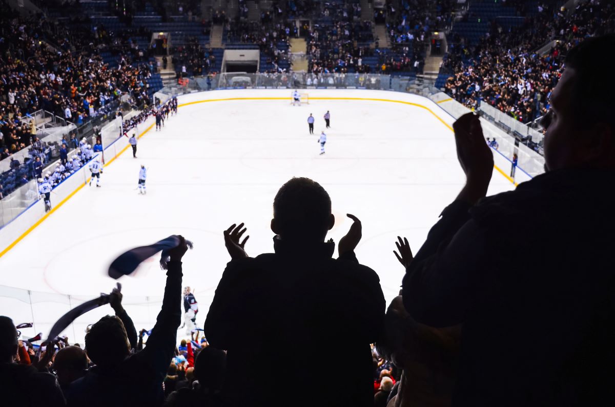 Fans stand and celebrate a goal at a hockey game.