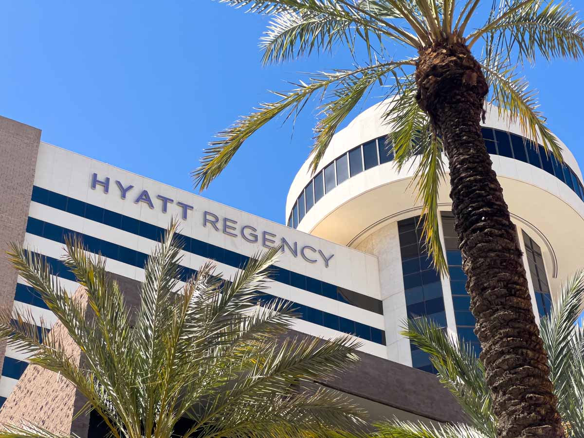 A Palm Tree in front of the Hyatt Regency Phoenix hotel near Chase Field.